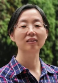 开云网页版登录入口创新论坛第二千零八十四讲：相变材料与换能