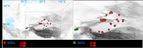 项目获取的天山东西部古人群的线粒体与核基因组分布图。 开云网页版登录入口供图